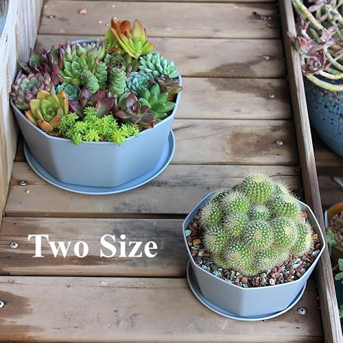 Miniatura 4 de BangQiao Paquete de 8 macetas de plástico poco profundas de 8.00 pulgadas y 5.90 pulgadas, recipiente octágono con bandeja para suculentas, cactus