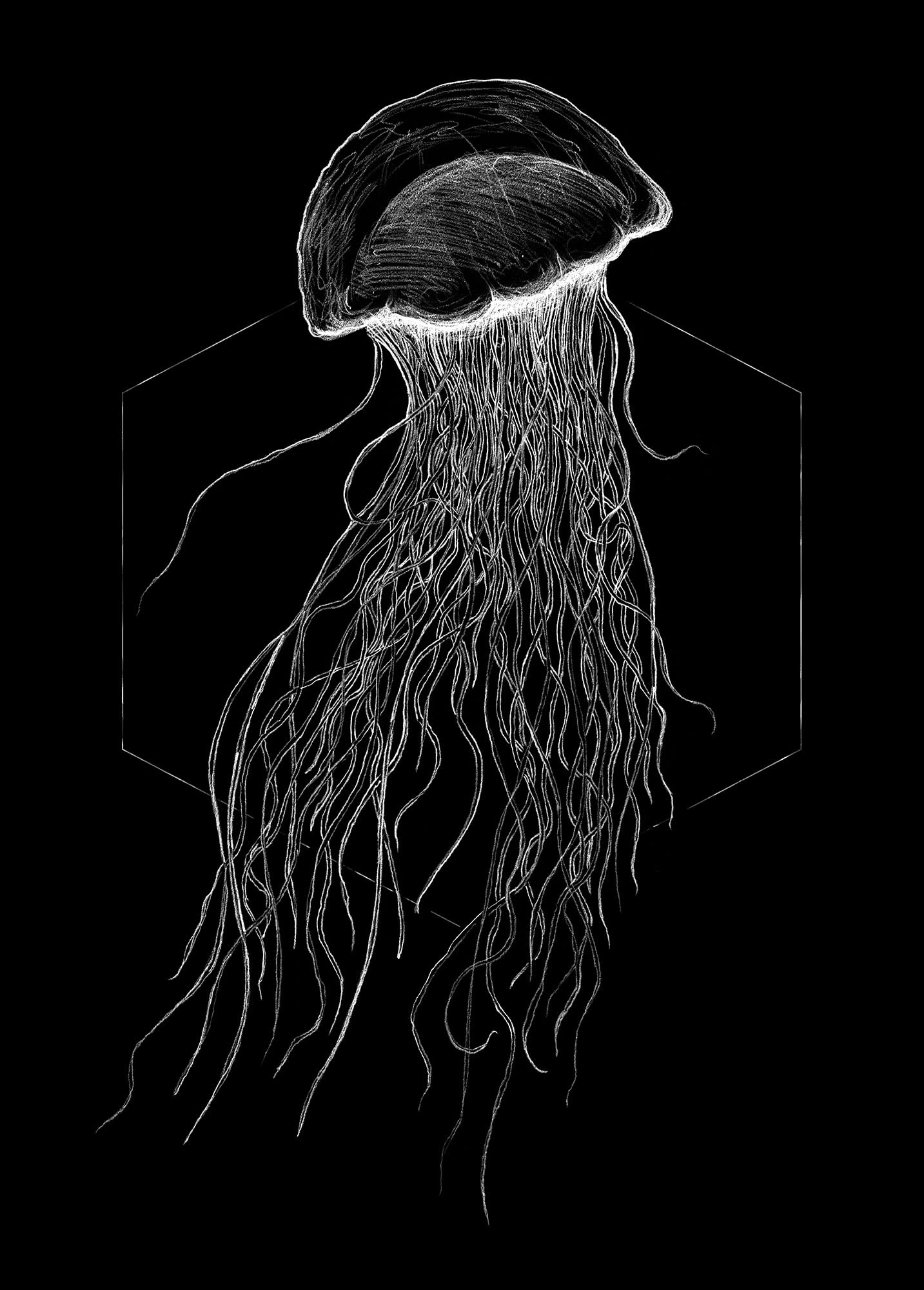 Toile Komar Jellyfish Black 50x70cm sans cadre pour une decoration murale moderne