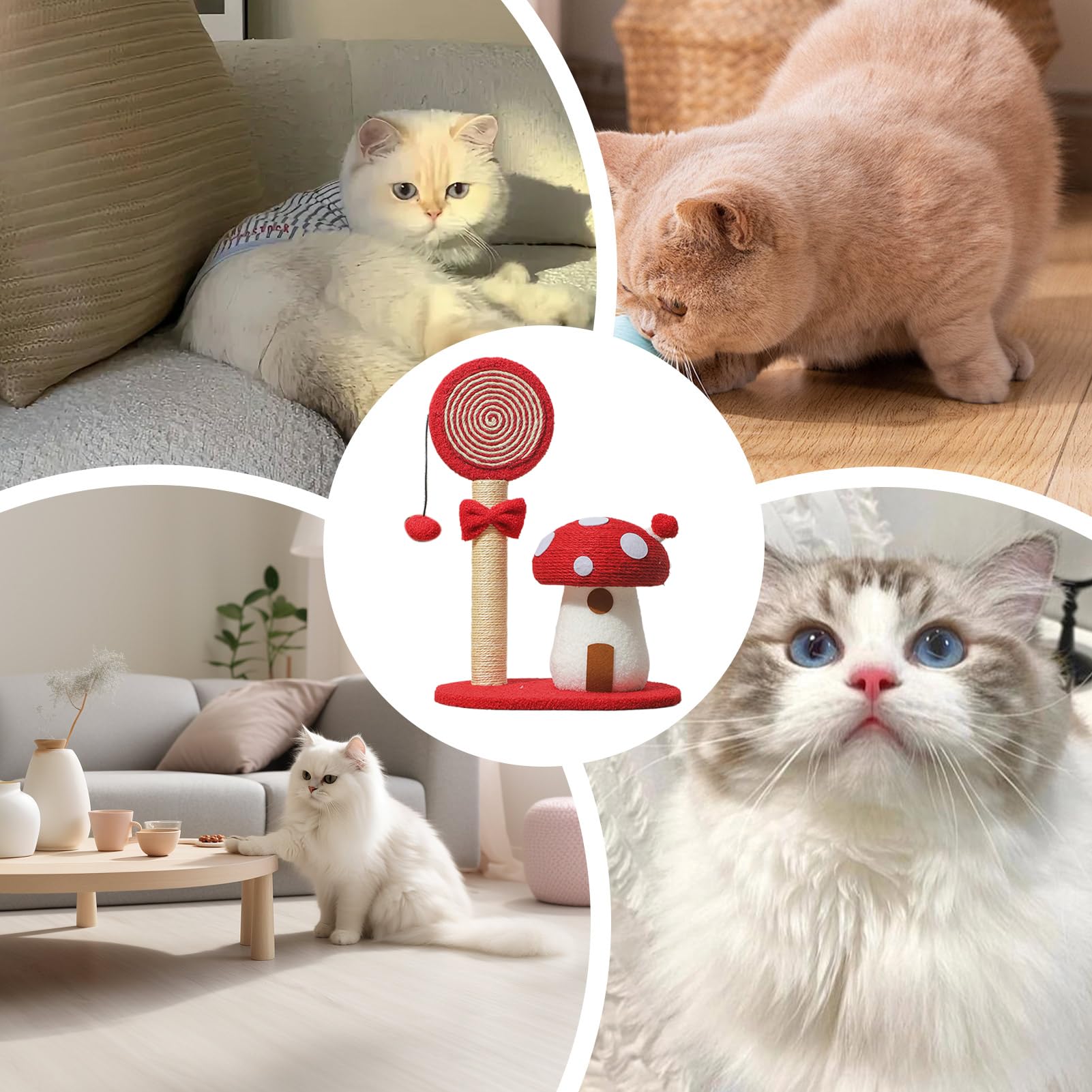 Albero torre da gatti Pannello Sisal Fungo Arrampicata E Tiragraffi, | Albero Tiragraffi Per Gatti Interno E Esterno per Casa Dormitorio Appartamento Piccoli Spazi e Area Giochi