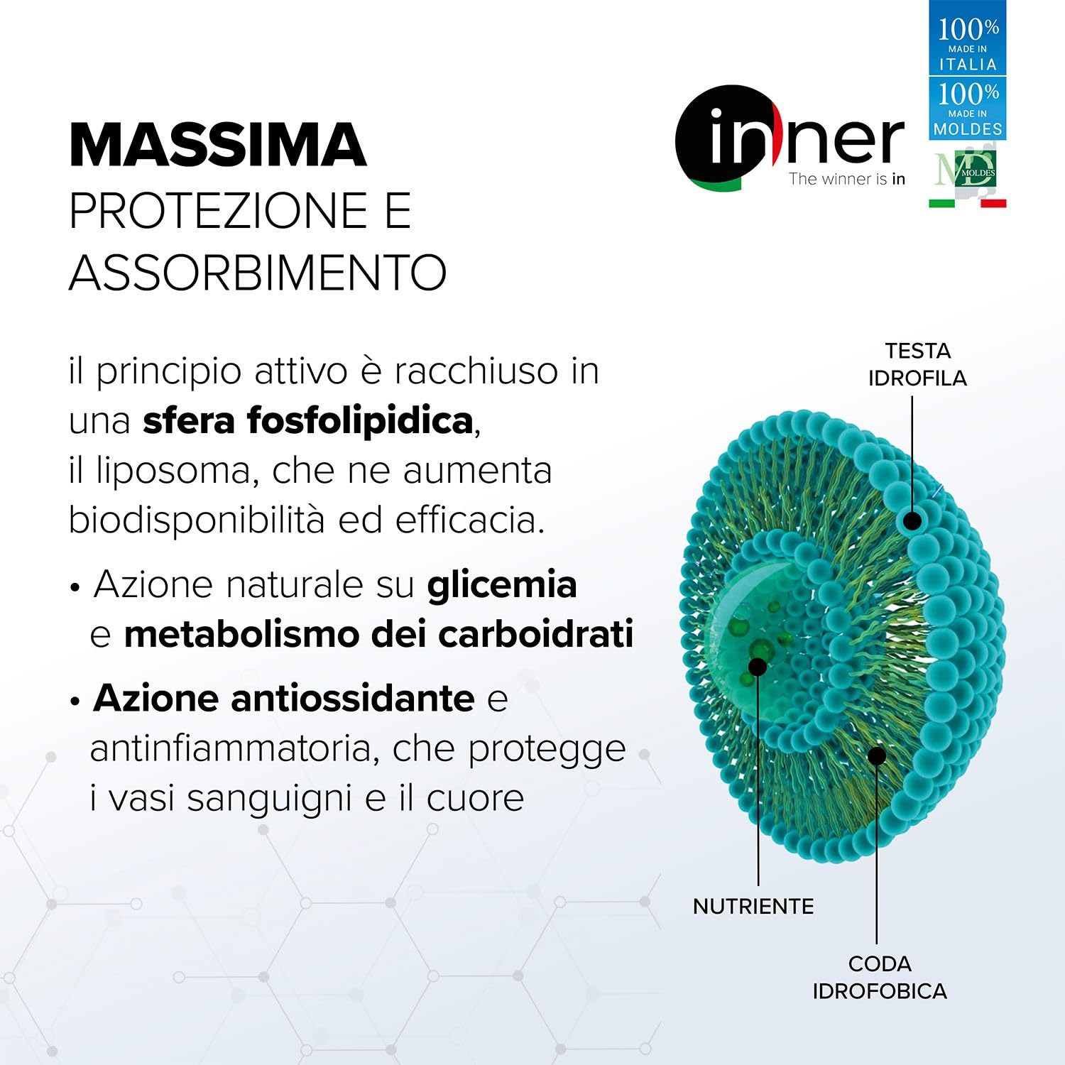 Inner Berberina + Bergamotto Liposomiale 60 Capsule – Integratore Naturale ad Alta Biodisponibilità per il Benessere Cardiovascolare – Supporto per Cuore Sano e Salute dell'Intestino