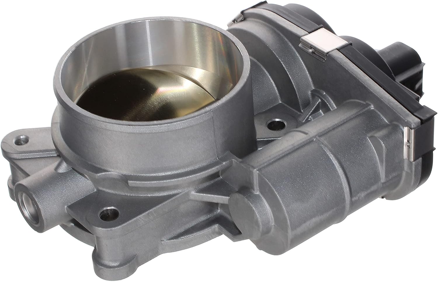 Fuel Injection Throttle Body