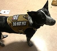 Vista 5 de Modo Bestia en Parche Táctico