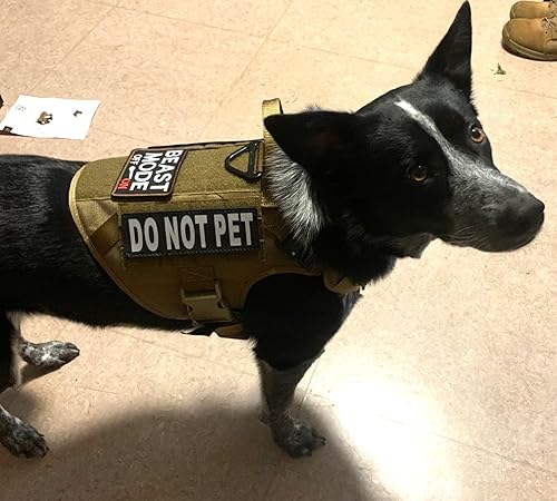 Miniatura 6 de Modo Bestia en Parche Táctico