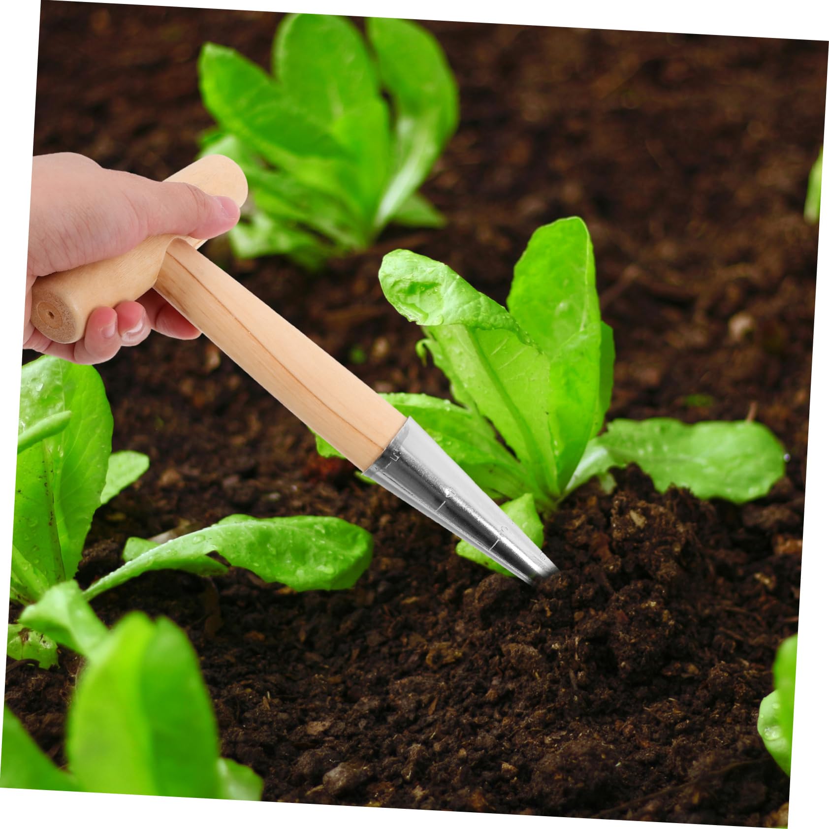 CIYODO Dibber Garden Tool Hand Dibber Planter Tool Portable Wooden Handle Seedling Punch Soil Puncher Easy to Use for Beginner and Experienced Gardeners