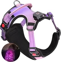 Daistern Von BSWAY LED Light Dog Harness Size M with Handle, Adjustable Anti-Pull Harness with 3 Flashing Modes, Reflective Strips Easy to Put on for Small and Medium Dogs