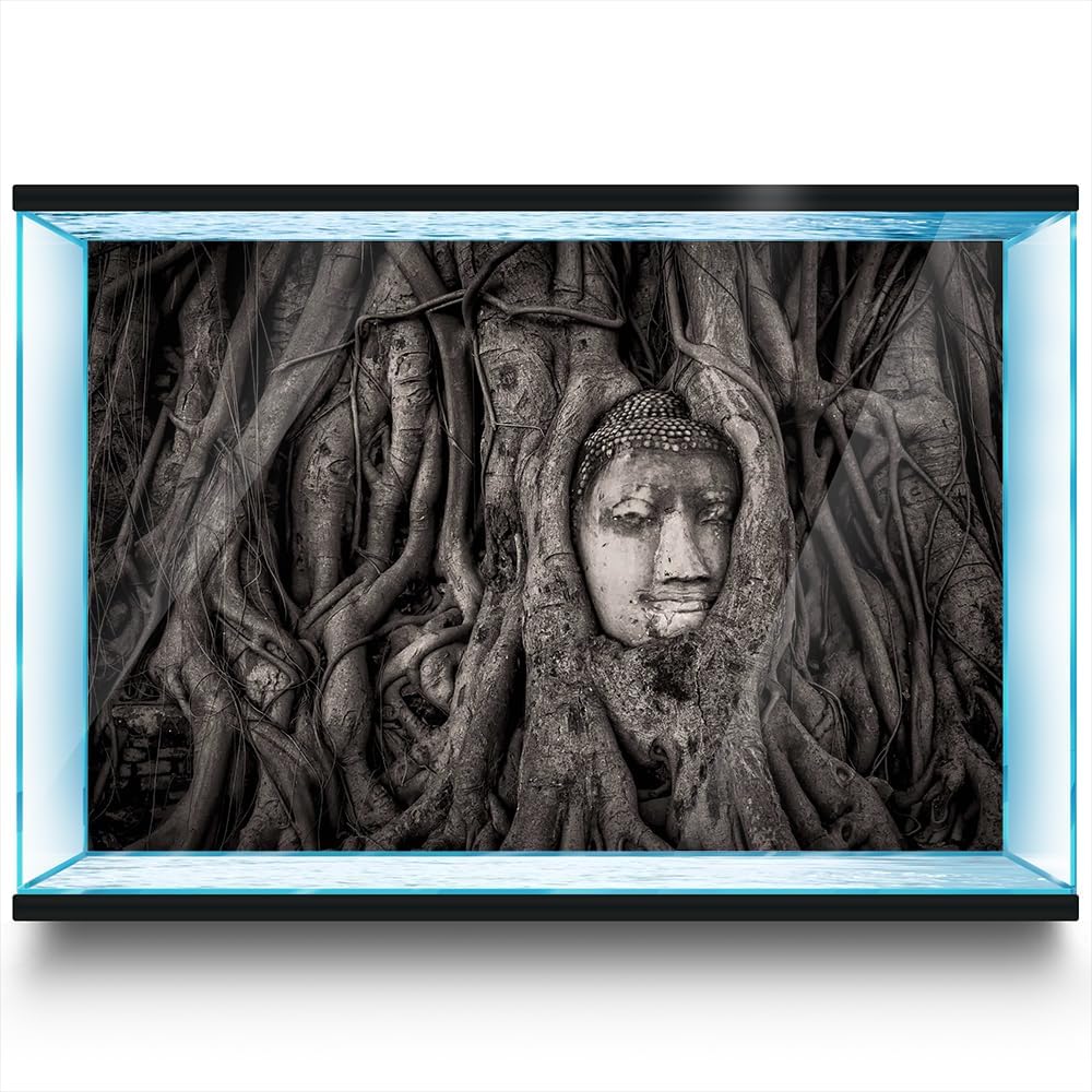 Aquarium Background Stickers - Buddha Root Tree - Fish Tank Reptile Terrarium Decor Poster (90 x 60 cm / (35.4 x 23.6 inches))