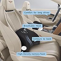 Vista 5 de Almohada de apoyo lumbar para automóvil, almohada lumbar 100% de espuma viscoelástica con funda extraíble transpirable, diseño ergonómico, almohada