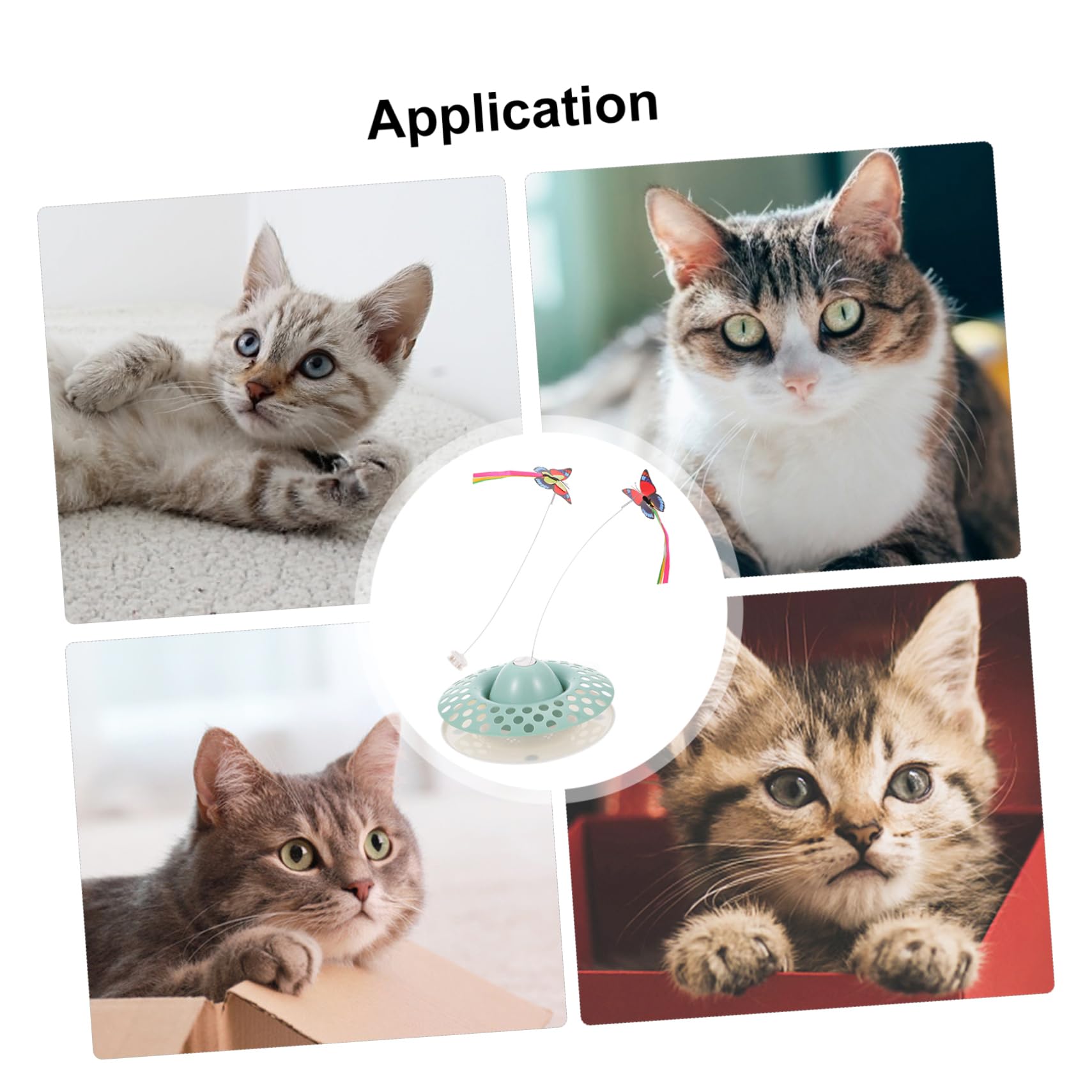 Toyvian Katzenspielzeug Schmetterlingen Interaktives Spielzeug Für Kätzchen Haustierspielzeug Zum Aktivieren Von Instinkten
