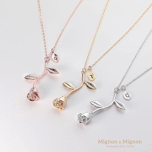 Vista 2 de MignonandMignon Collar de rosas para el día de la madre, La bella y la bestia, joyería personalizada, regalo de hito, 3MRN-L