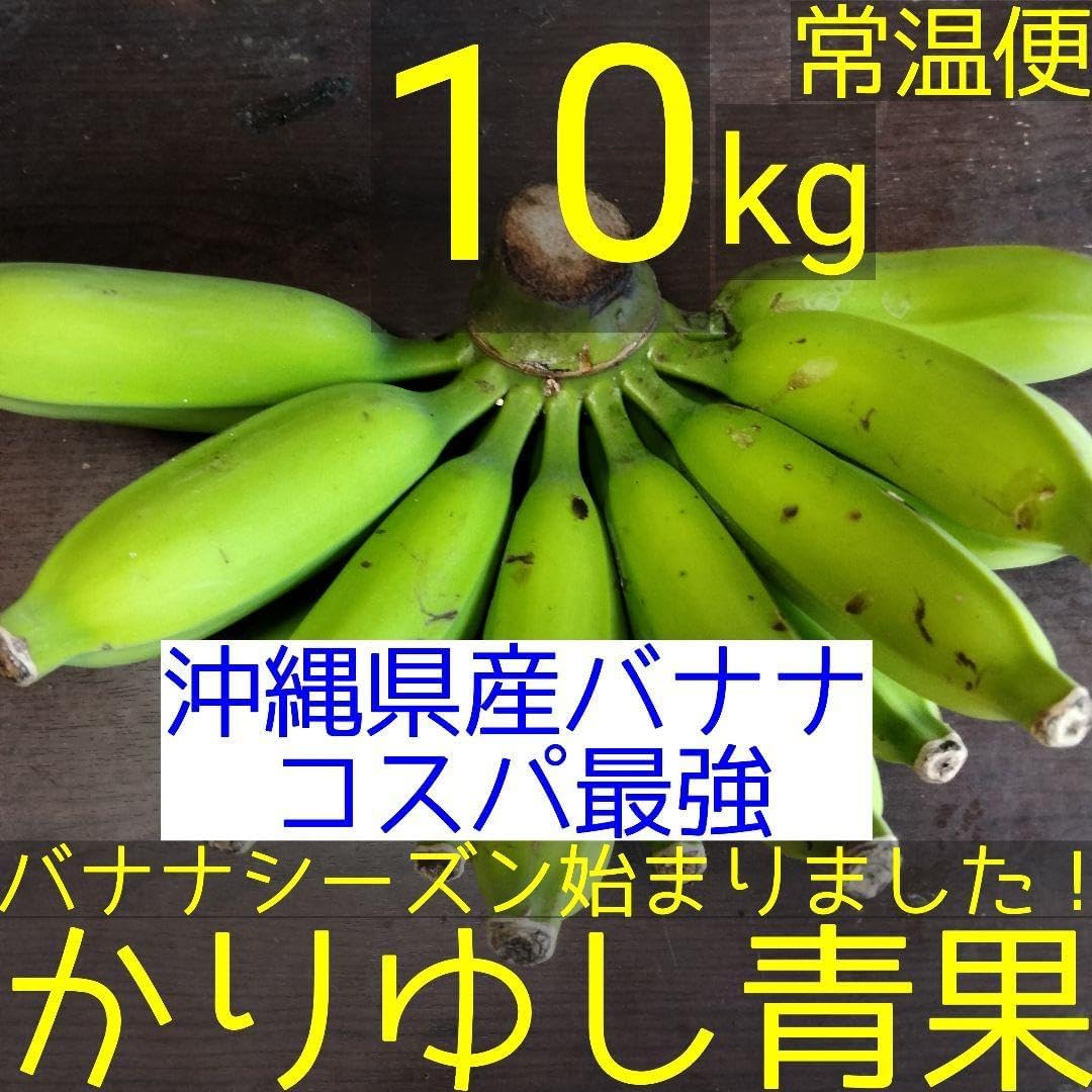 iomari◆絶対糖度の頂点 260cm来年収穫用、　マッサンバナナ iomari◇絶対糖度の頂点 260cm来年収穫用、 マッサンバナナ iomari様専用◇