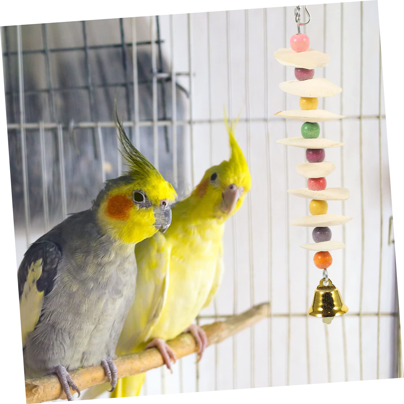 BESPORTBLE 5pezzi Giocattolo Per Uccelli Calcio Con Cuttlebone Per Pappagalli Giocattolo Masticabile Multi-funzionale Per Uccelli Sicuro e Resistente Per Pappagalli e Squirrels Gioco