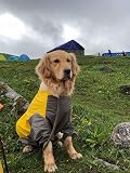 Ver la foto 6