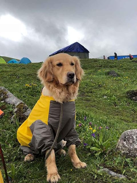 Foto 6 de 7 de feiling Patchwork Lluvia Abrigo para Perro Chubasquero Impermeable 4 Patas de Lluvia Chaqueta Mascotas Rain…