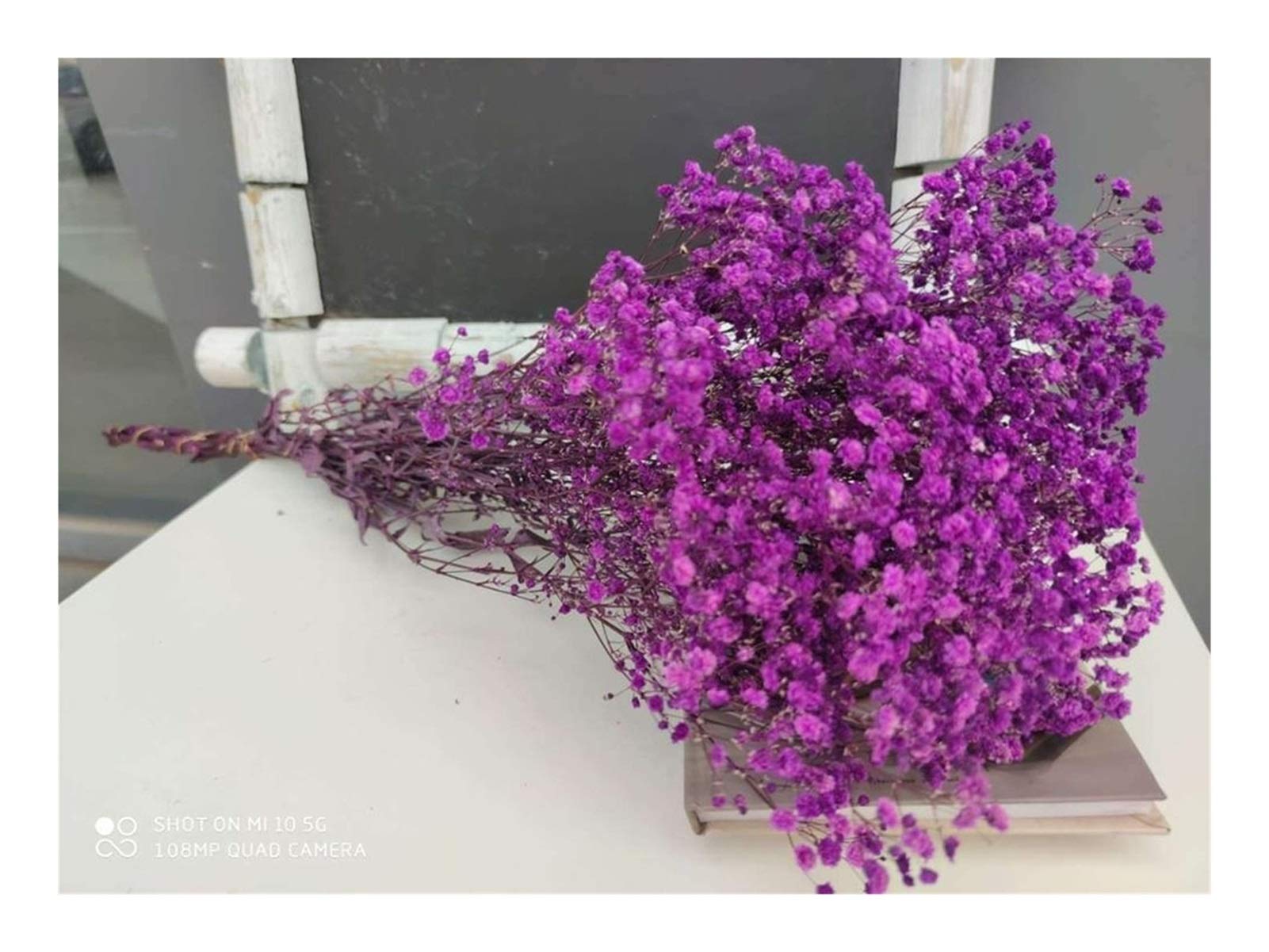 Fleurs séchées naturelles gypsophila pour décoration durable sans entretien