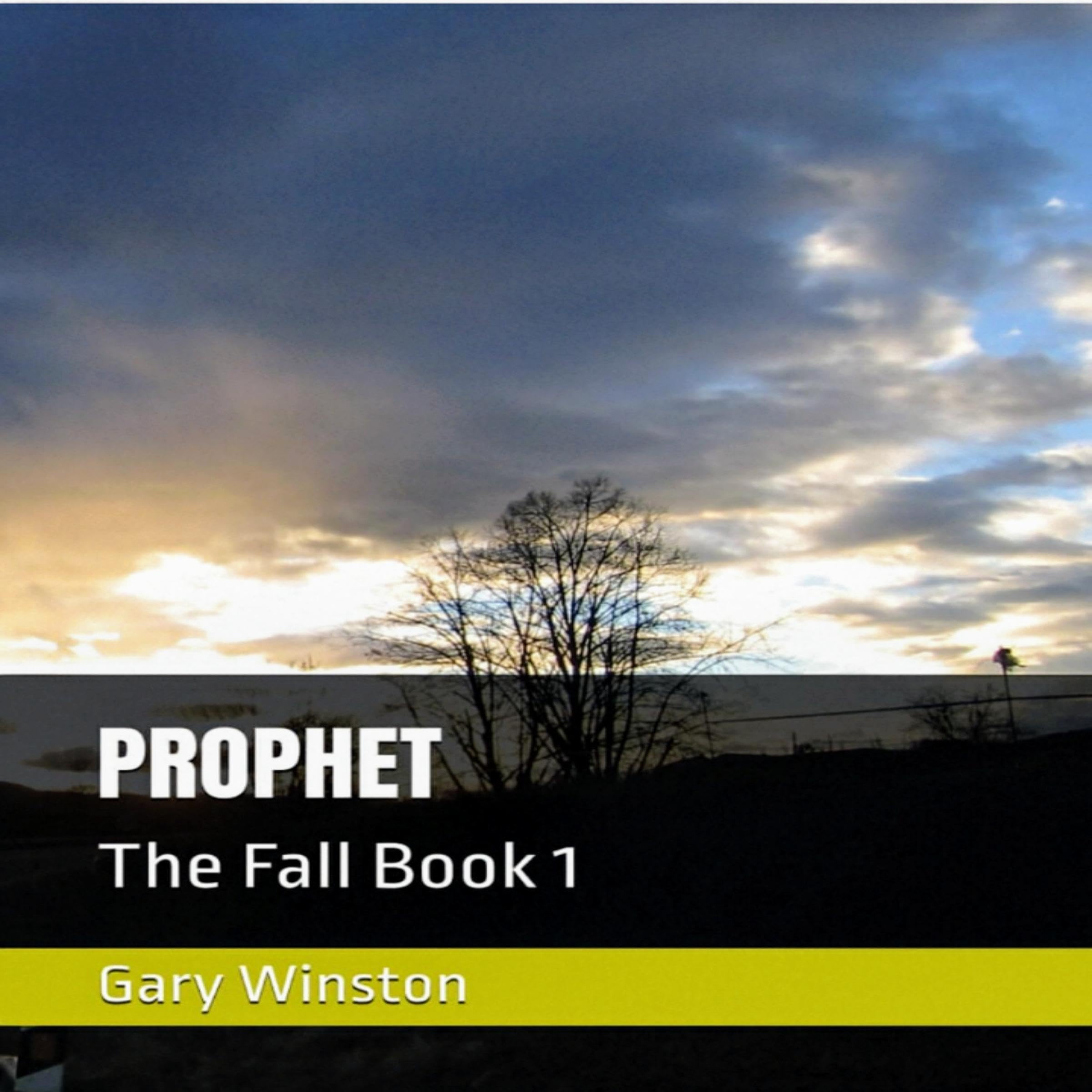 Cover art for Prophet: The Fall, Book 1