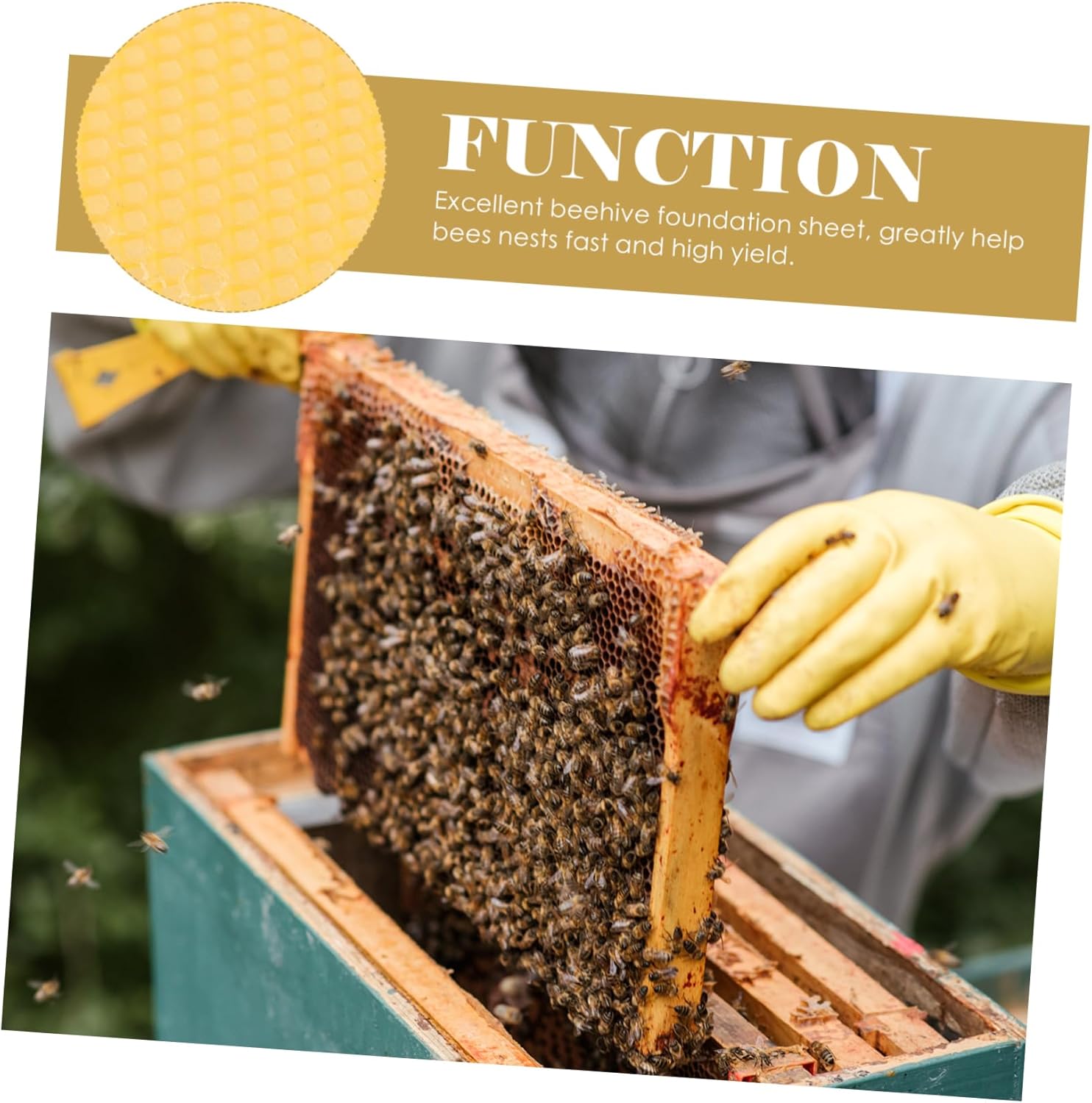 BESPORTBLE 30pcs Bee Honey Sheets Beehive Foundation Sheets for Beekeeping Supplies