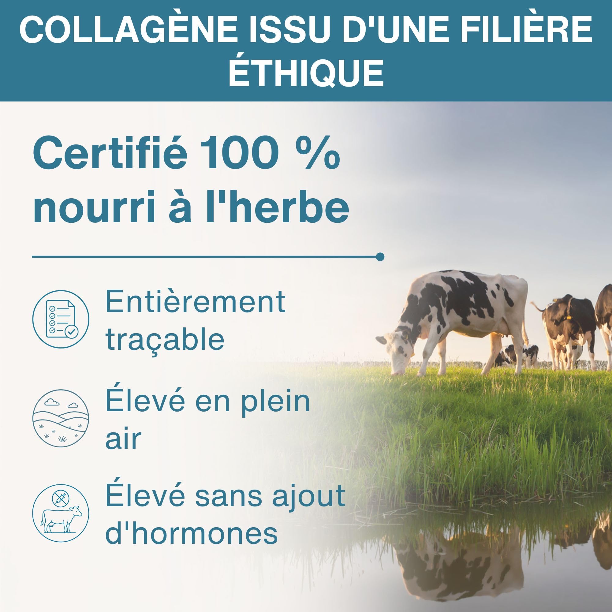 Peptides de Collagène Hydrolysés Avancés, Certifié Nourri 100% à l’Herbe, Poudre de Protéine de Collagène Bovin Aggloméré, Mélange Facile et Goût Neutre, 400 g – par Igennus