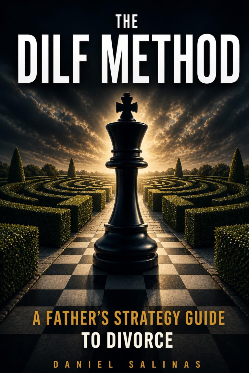The DILF Method: A Practical Guide to Divorce Communication, Co-Parenting, Custody Conversations, and Staying Calm During Separation (DILF Divorce Strategy Series)