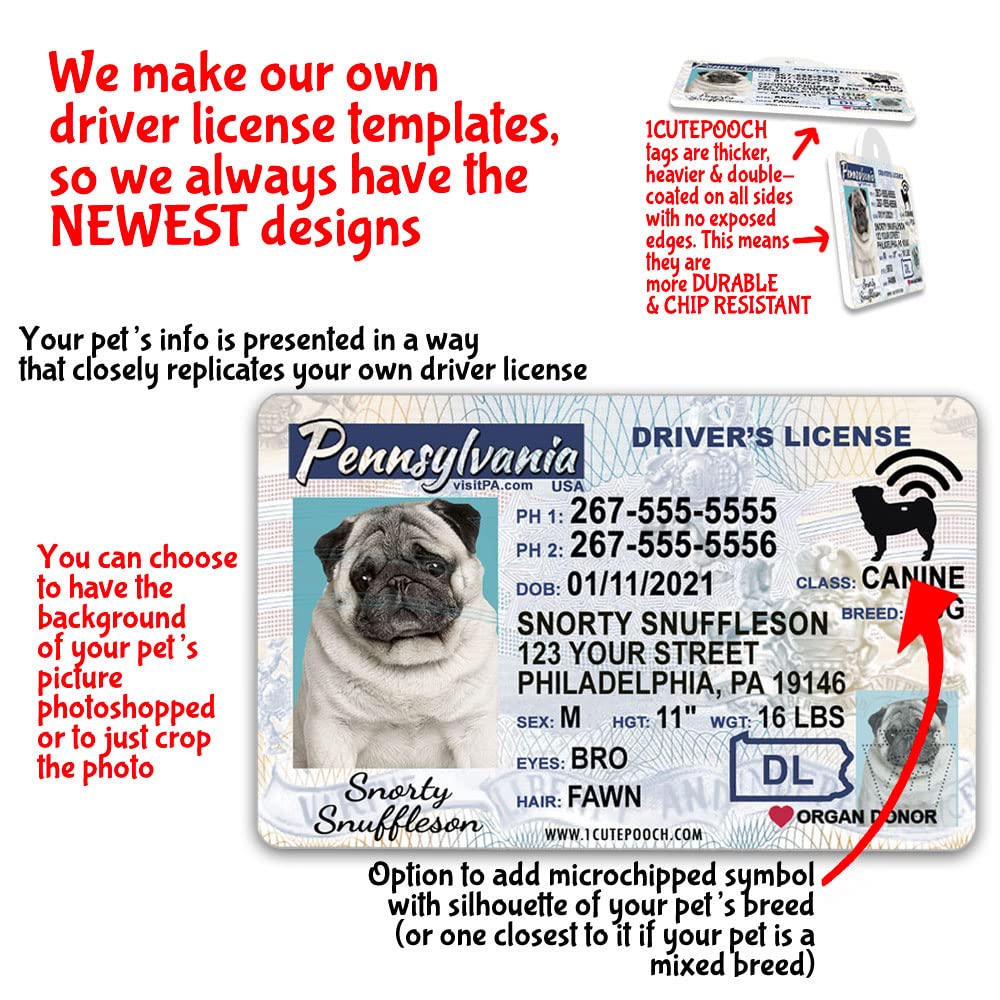 Are Dog Licenses Available In Pennsylvania
