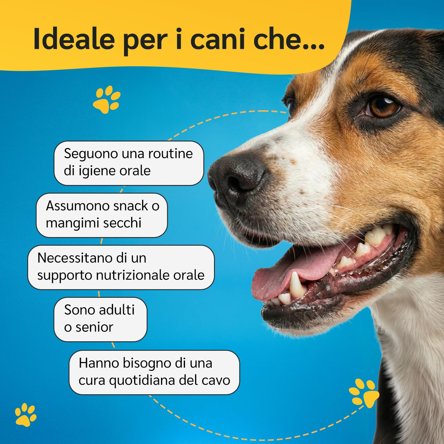 amusi Igiene Orale + Articolazioni per cani: Dentifricio in Polvere 60g con Ascophyllum e Menta per Denti e Alito + Integratore 125 Compresse con Glucosamina, Condroitina, MSM e Curcuma