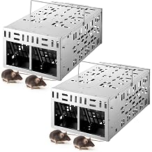 Qualirey 2 Pack Rat Trap Humane Mouse Trap with Double Opening One Way Door Design Automatic Continuous Cycle Live Mouse No Kill for Indoor and Outdoor Capturing or Releasing Rodents