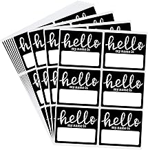 60 Pcs Hello My Name is Stickers Bright Colorful Trendy Name Badge Tag Labels for Office, Meeting,Party and Mailing 3 × 2-1/2 Inch - 6 Color Per Sheet,10 Sheets（Style E）