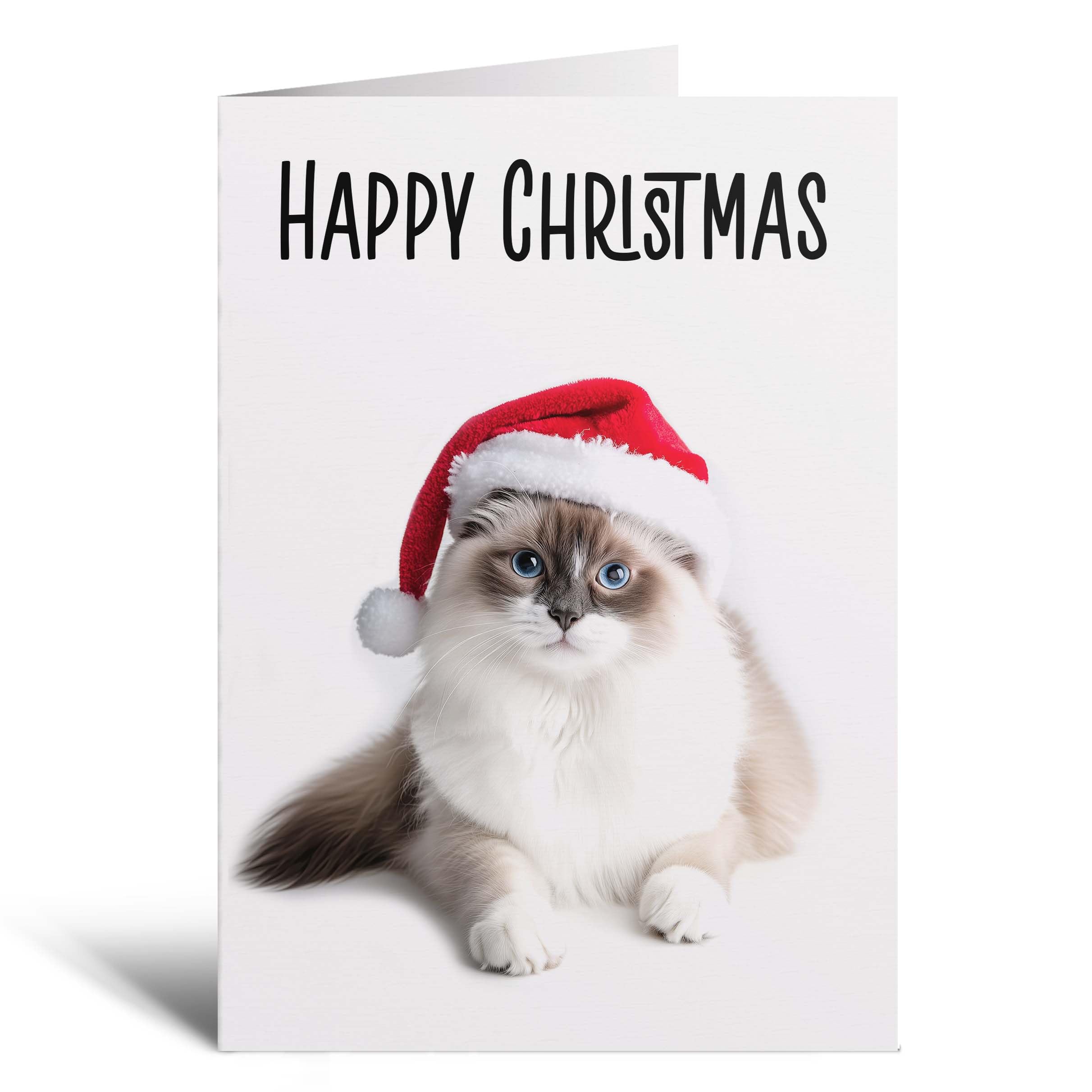 Postcard Prints - Fun Christmas Card of a Ragdoll Cat Wearing A Santa Hat Whimsical Christmas Card For Animal Lover For Him or Her - 4 Cards โ image 1