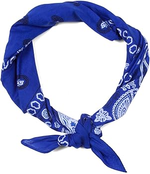 Vintage Hav-a-hank Blue Paisley Handkerchief MADE IN USA, Classic Print - Foto 13