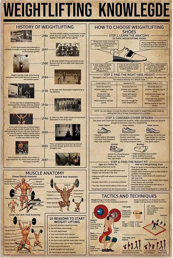 rayprint Weightlifting Knowledge Frameless Posters Wall Art History Of Weightlifting Art Canvas Poster Wall Decor Painting For Home Bedroom Living Room Decor 8x12inch