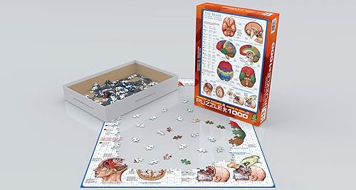Miniatura 3 de EuroGraphics Rompecabezas de 1000 piezas de cuerpo humano (El cerebro)