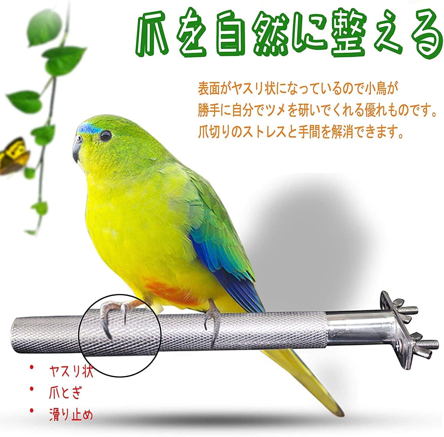 テラこった ２種類セット 鳥用爪研ぎ機能陶器製止まり木 Amazon | DIFEIUKI 鳥 止まり木 2本セット 鳥用パーチ ねじ止め