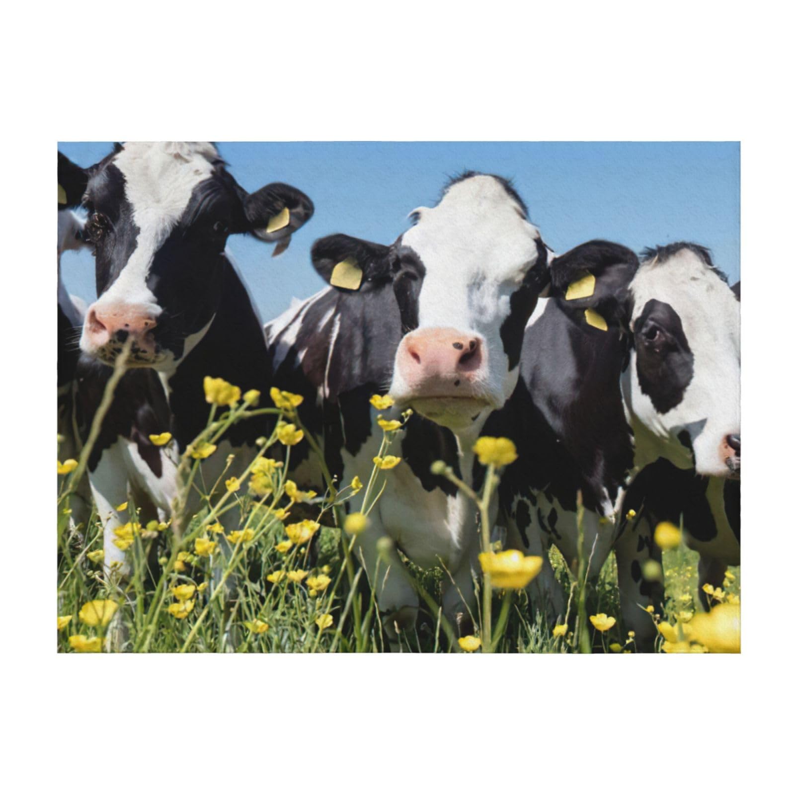 Couverture imprimé vache légère plaid lit canapé fauteuil noir et blanc