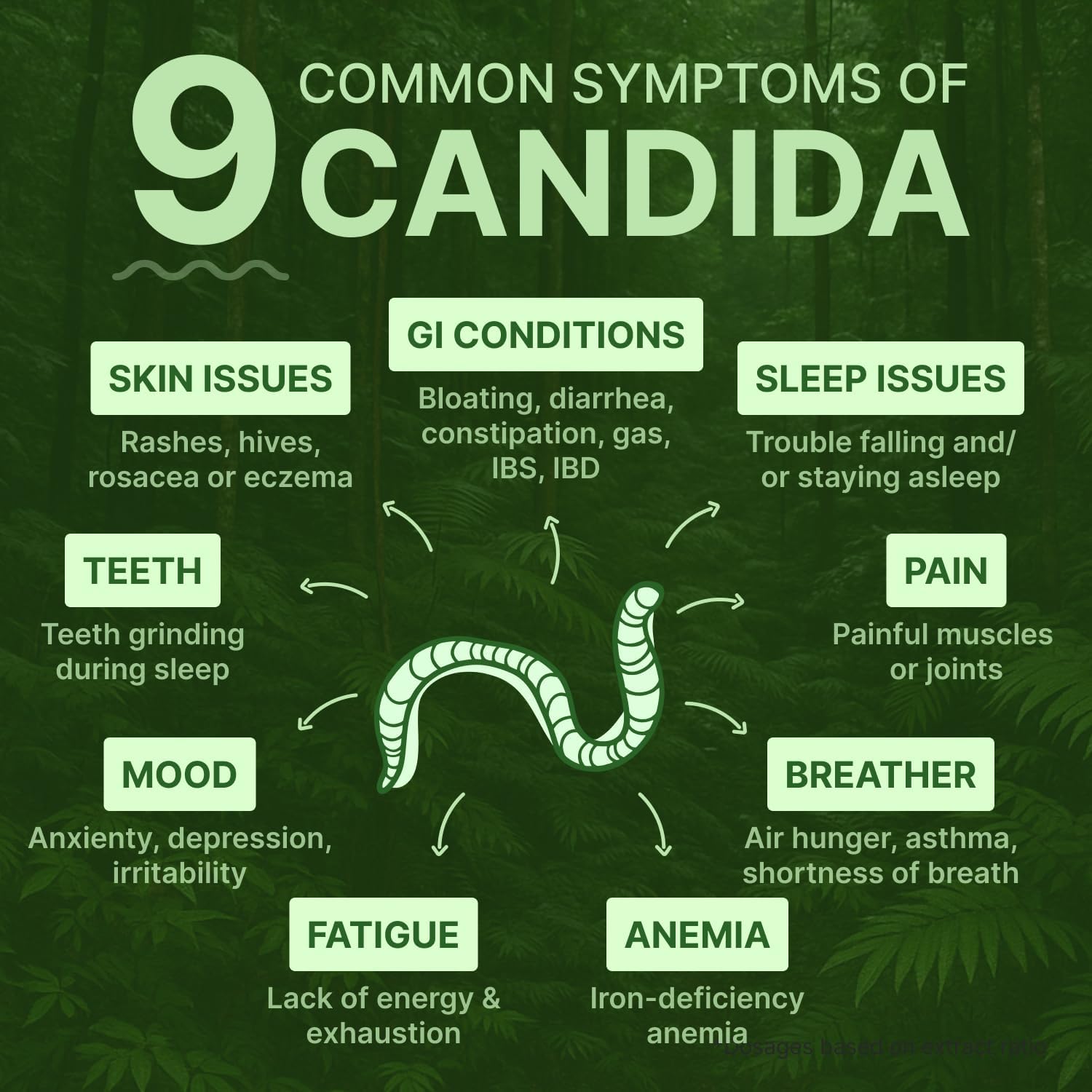 Candisite | Candida Cleanse | 10-in-1 Advanced Formula - Wormwood, Black Walnut, PAU D’Arco | Supports Digestive & Microbial Balance | Candida Support | 60 Gummies - Image 3