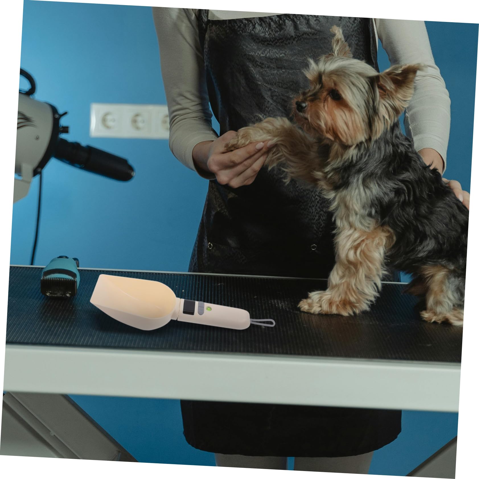 Bilancia Cucchiaio per Alimenti per Animali Domestici Misuratore Elettronico con Display LCD per Controllo Porzioni Precise Strumento Multifunzionale per Cibo