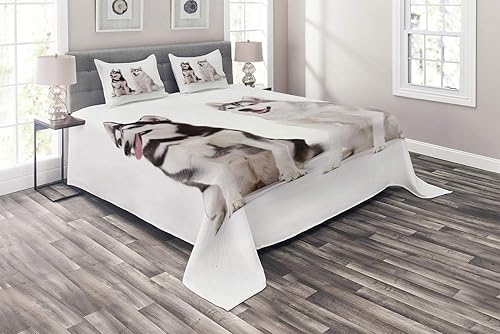 Ambesonne Alaskan Malamute - Juego de colcha acolchada decorativa de 3 piezas con 2 fundas de almohada, tamaño Queen, color negro y blanco crema