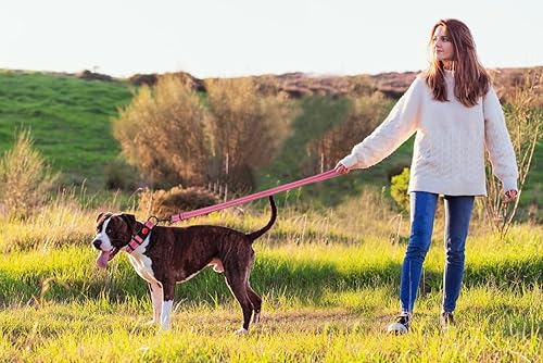 Miniatura 6 de Juego de collar y correa reflectante para perro con hebilla de bloqueo de seguridad, collares de nailon para mascotas, ajustables para perros