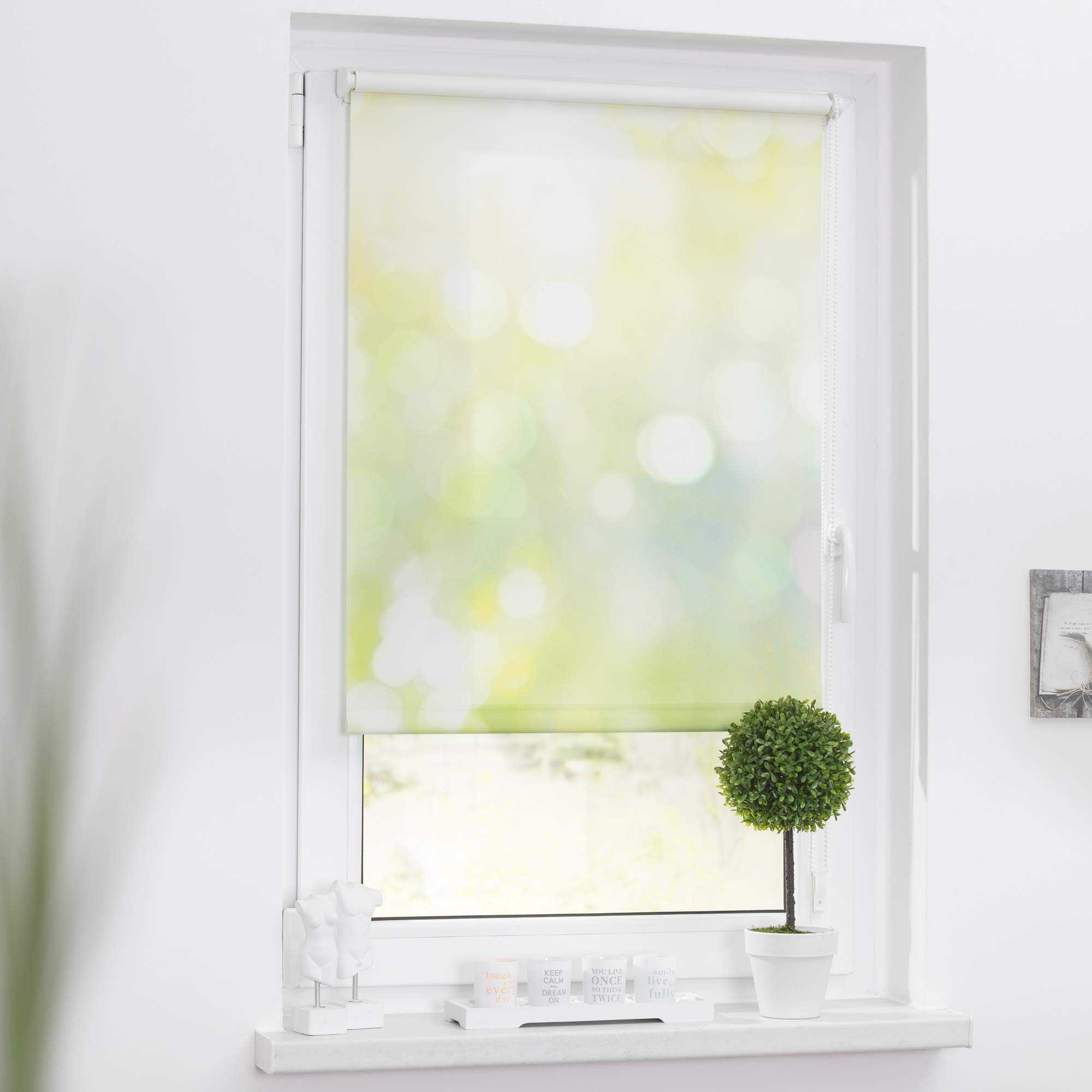 Lichtblick Rollo Tageslicht Blickdicht ohne Bohren 80 x 150 cm (B x L)