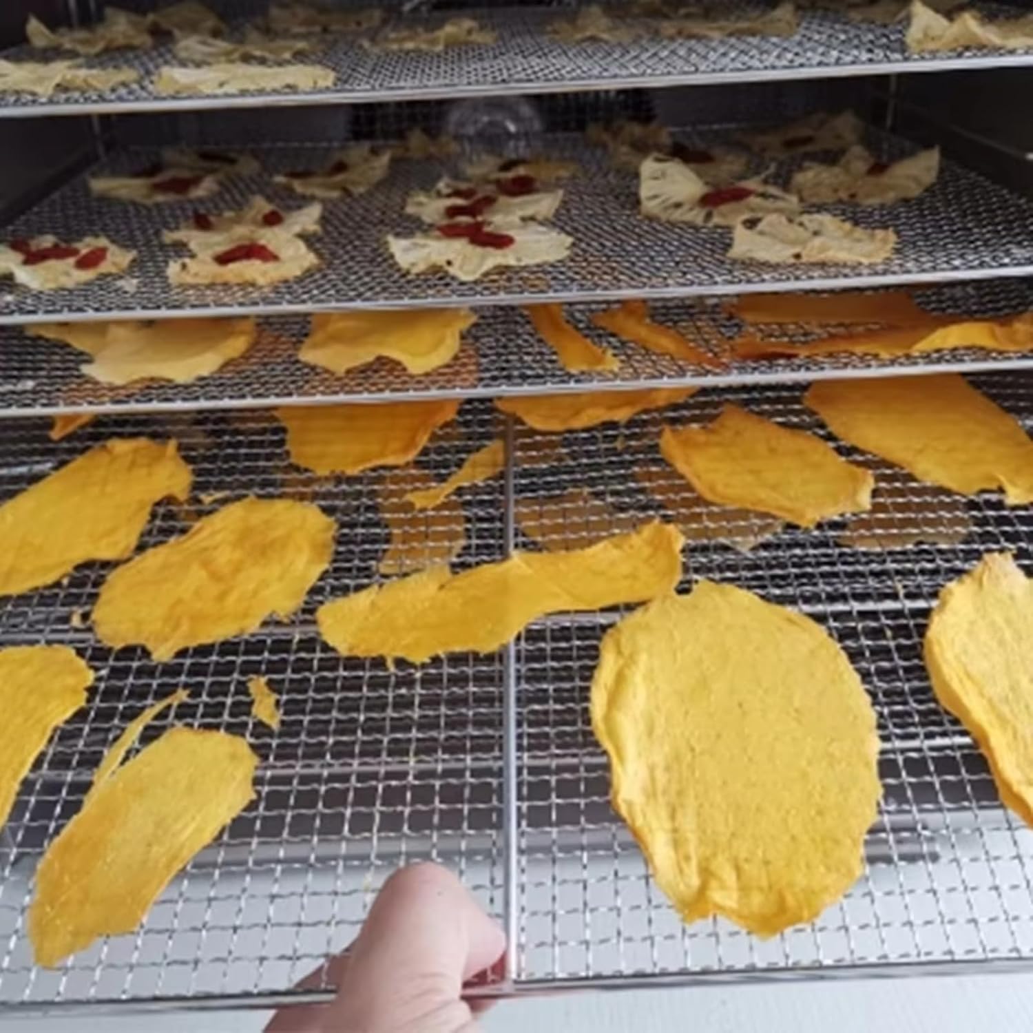 Food Dehydrator Fruit Dehydrator with 60 Tray Drying Capacity, Large Organized Space for Fruit Meat Jerky and Vegetables, Ideal for Family Kitchens Batch Snack Prep and Food Storage