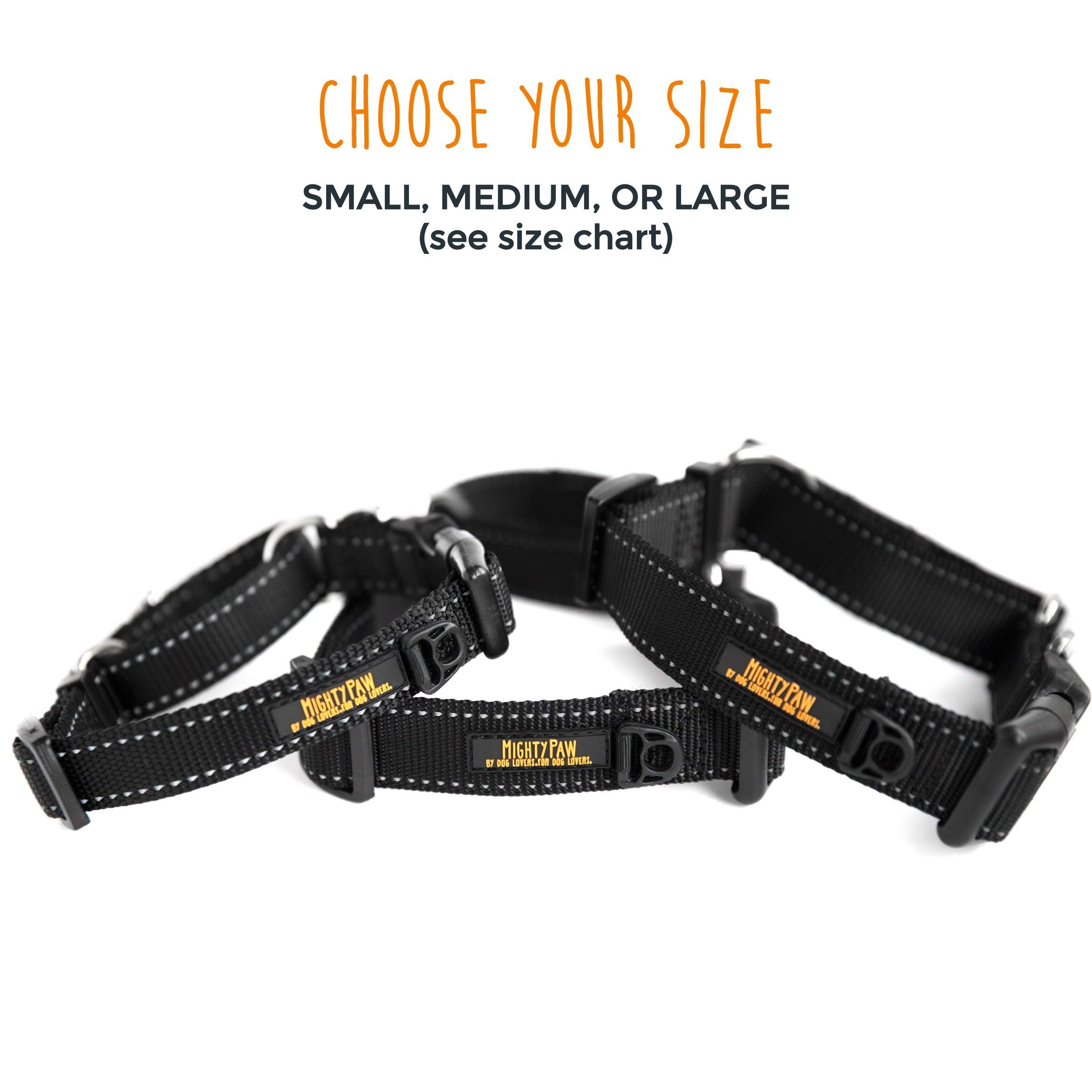 Buy Mighty Paw Martingale Nylon Training Collar. Our Trainer Approved