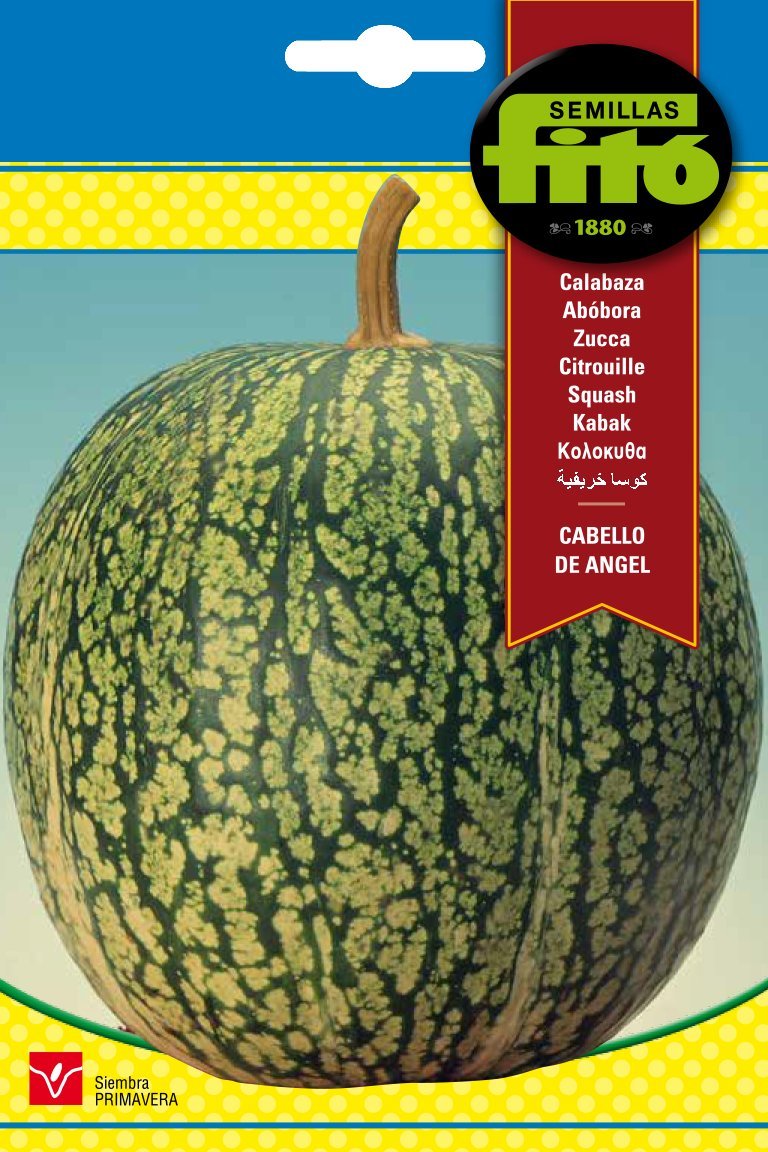 Fito Cabello De Angel