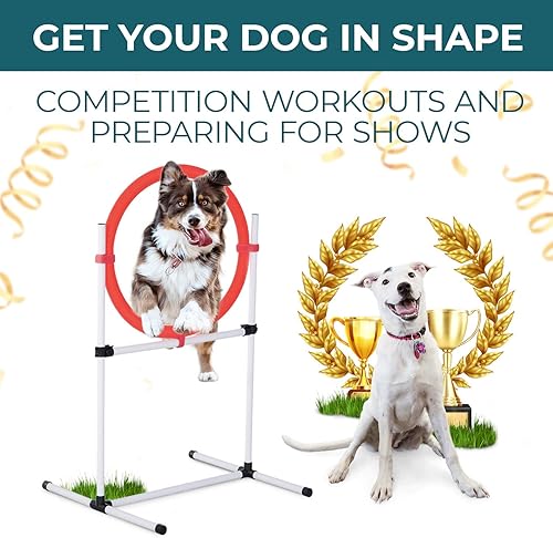 Miniatura 9 de CHEERING PET Premium Dog Agility Equipment Set 5 Pieces of Dog Training Fun Tunnel Dog Jump Hoop Weave Poles and Easy Carry Case Indoor or Outdoor