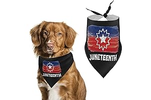 Celebrate With Pride: Juneteenth Dog Bandana