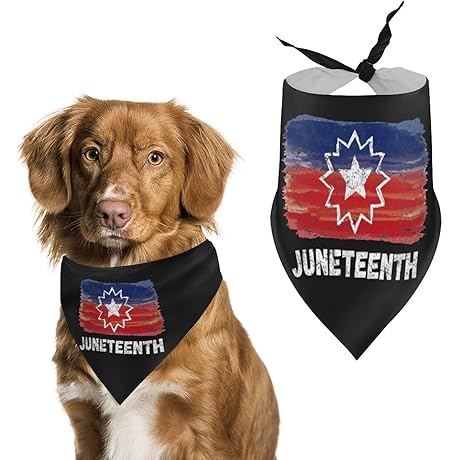 Celebrate With Pride: Juneteenth Dog Bandana