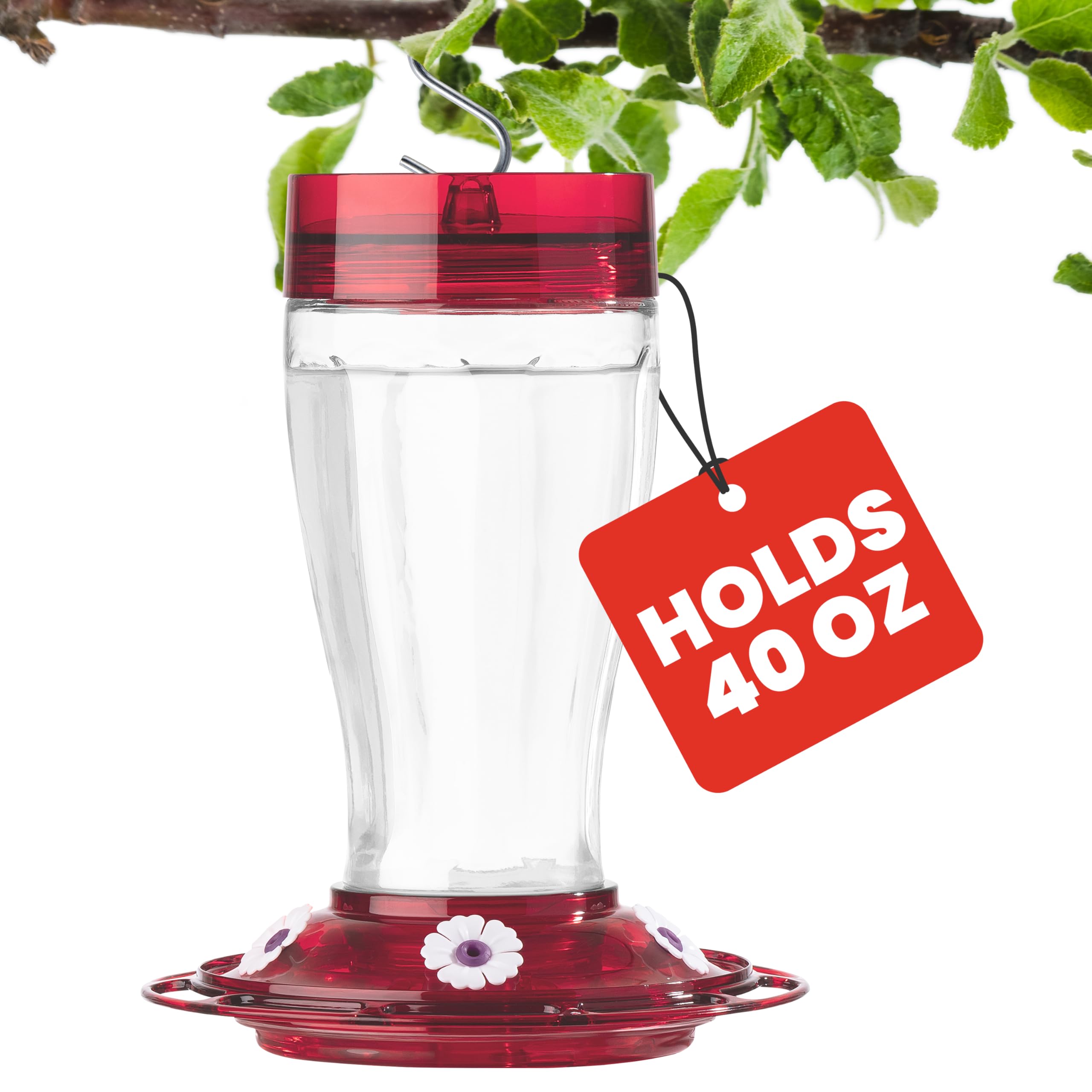 More Birds Bird Health+ Big Gulp Hummingbird Feeder, Glass Hummingbird Feeders for Outdoors, 5 Feeding Stations, 40 Ounces