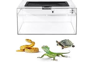 Reptile Terrarium: Spacious Haven for Terrestrial Herps