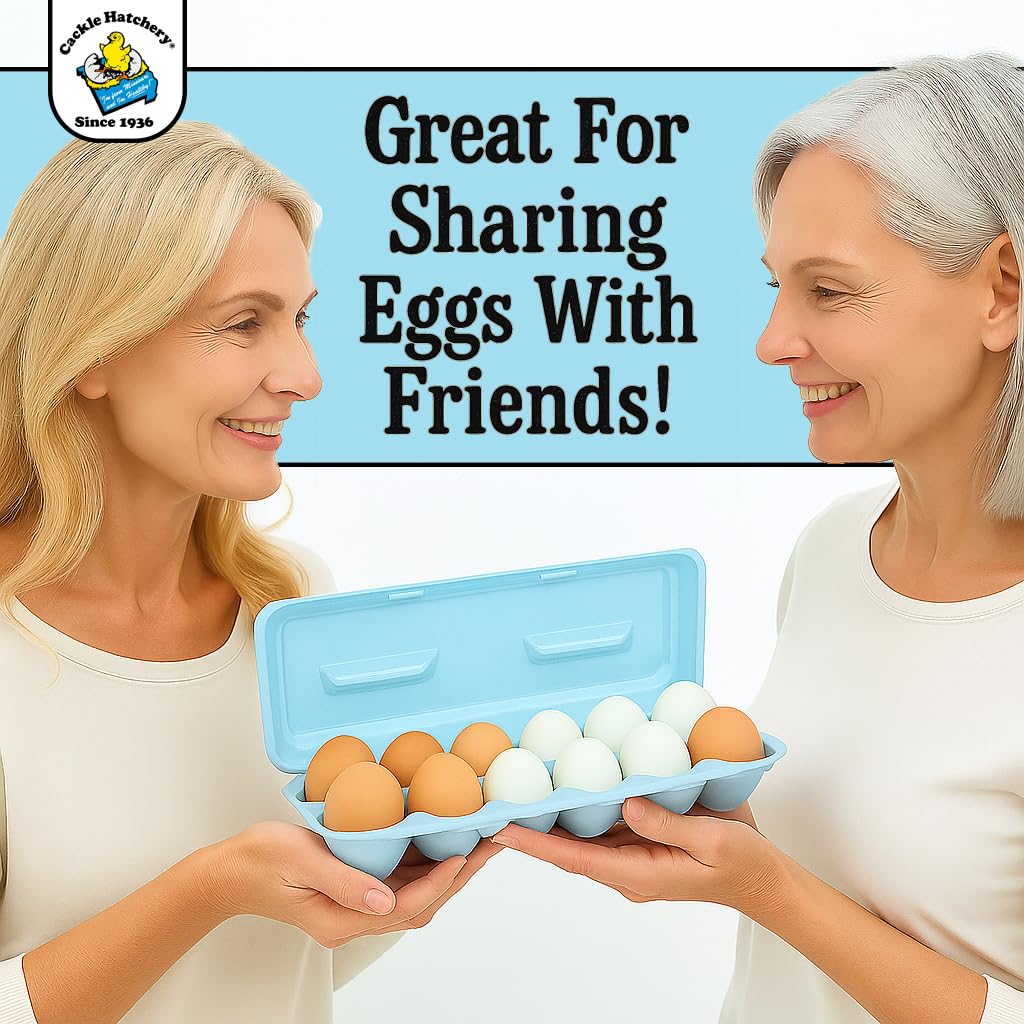 Cackle Hatchery Cartones de espuma para huevos de gallina con capacidad para 1 docena de huevos (azul, 15 unidades)