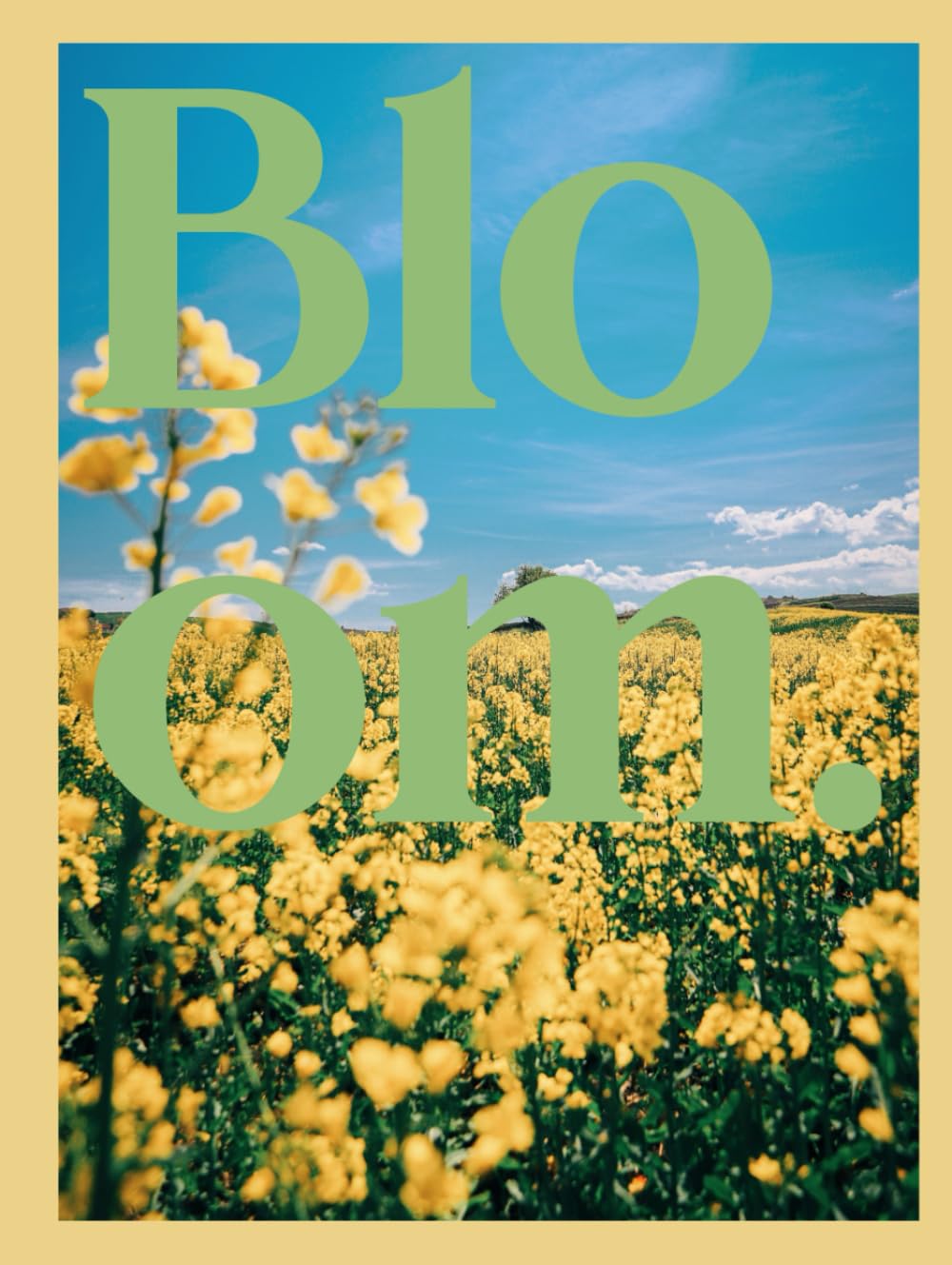 Livre photo de printemps de prestige reliure rigide et impression d'art grand format