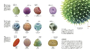 MICRO LIFE 図鑑 美しきミクロの世界 | スミソニアン協会, 遠藤