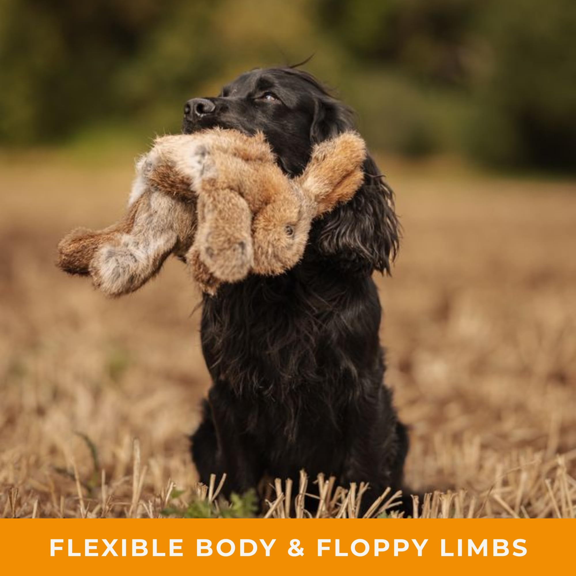 Dog & Field Manichino in finta pelliccia di coniglio, realistico, peso 0,5 kg, corpo flessibile e arti floppy, per addestramento cani da pistola e cuccioli (0,5 kg)