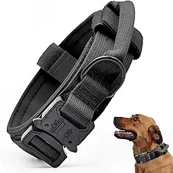 Coleira para cães, coleira de nylon ajustável com alça de controle e fivela de metal pesado para cães médios e grandes, (M, preta)